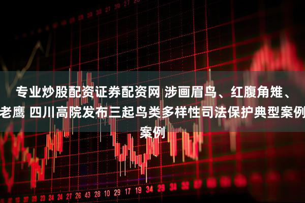 专业炒股配资证券配资网 涉画眉鸟、红腹角雉、老鹰 四川高院发布三起鸟类多样性司法保护典型案例